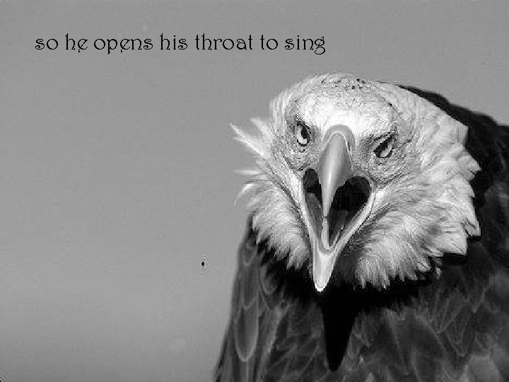 so he opens his throat to sing 