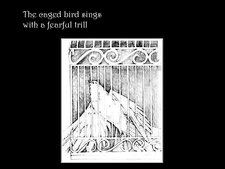 The caged bird sings with a fearful trill 