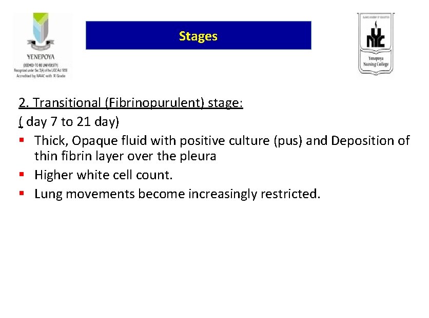 Stages 2. Transitional (Fibrinopurulent) stage: ( day 7 to 21 day) § Thick, Opaque