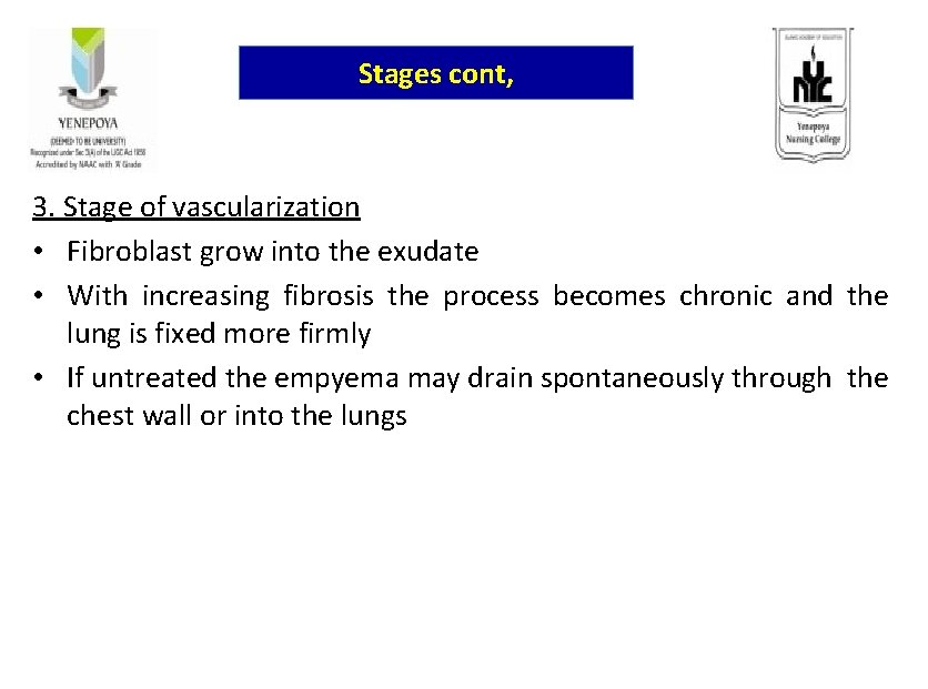 Stages cont, 3. Stage of vascularization • Fibroblast grow into the exudate • With