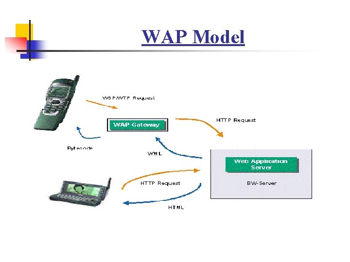 WAP Model 