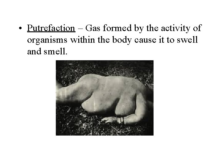  • Putrefaction – Gas formed by the activity of organisms within the body