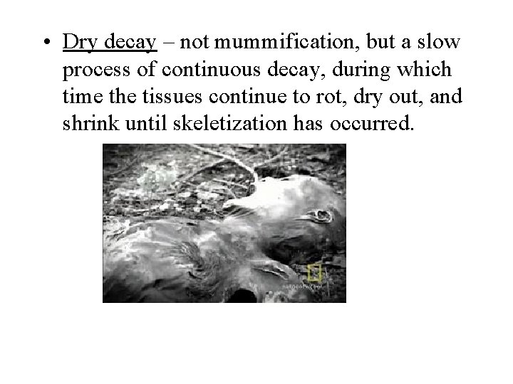  • Dry decay – not mummification, but a slow process of continuous decay,