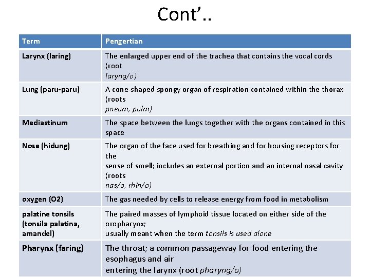 Cont’. . Term Pengertian Larynx (laring) The enlarged upper end of the trachea that