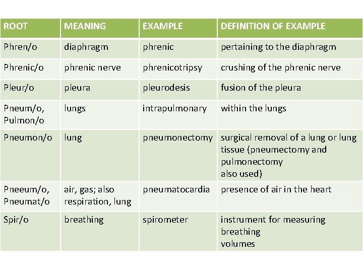 ROOT MEANING EXAMPLE DEFINITION OF EXAMPLE Phren/o diaphragm phrenic pertaining to the diaphragm Phrenic/o