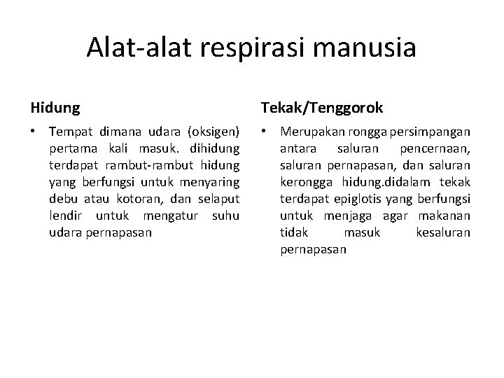 Alat-alat respirasi manusia Hidung Tekak/Tenggorok • Tempat dimana udara (oksigen) pertama kali masuk. dihidung
