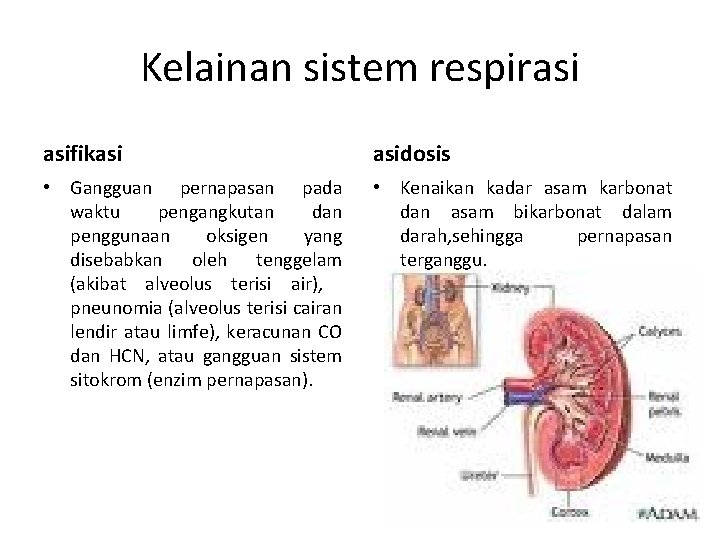 Kelainan sistem respirasi asifikasi asidosis • Gangguan pernapasan pada waktu pengangkutan dan penggunaan oksigen