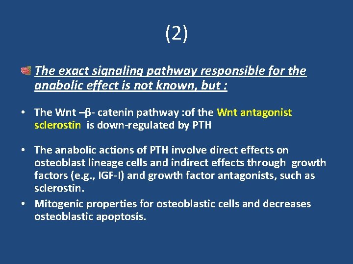 (2) The exact signaling pathway responsible for the anabolic effect is not known, but