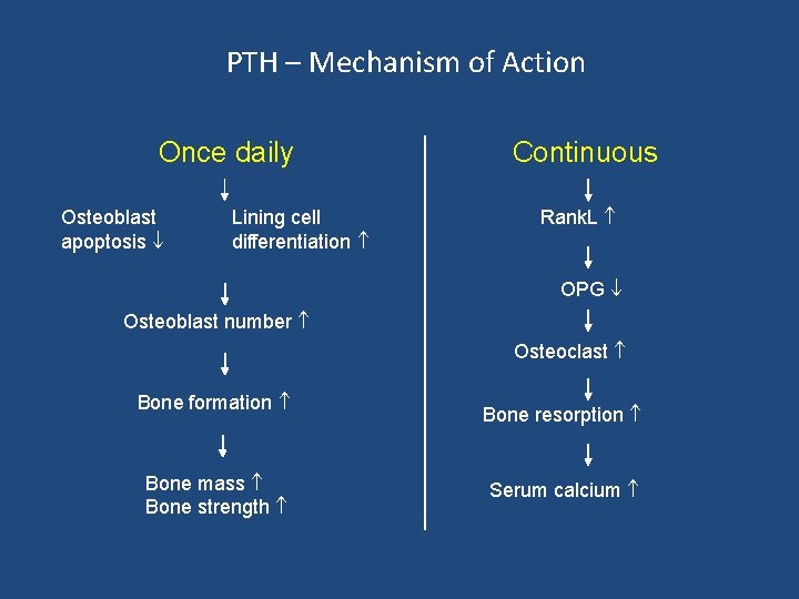 PTH – Mechanism of Action Once daily Osteoblast apoptosis Lining cell differentiation Continuous Rank.