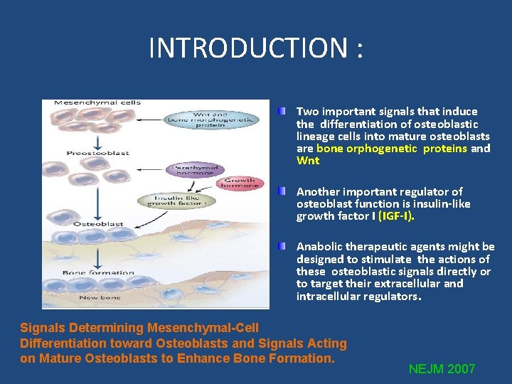 INTRODUCTION : Two important signals that induce the differentiation of osteoblastic lineage cells into