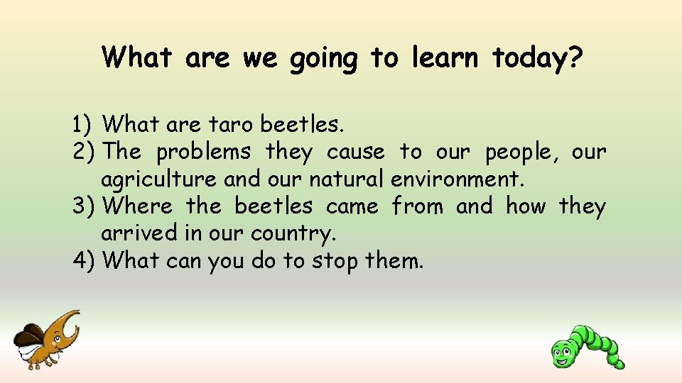 What are we going to learn today? 1) What are taro beetles. 2) The