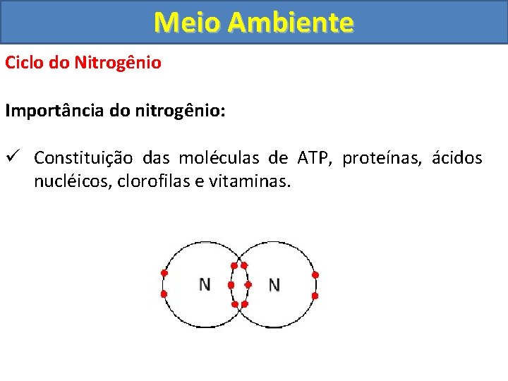 Meio Ambiente Ciclo do Nitrogênio Importância do nitrogênio: ü Constituição das moléculas de ATP,