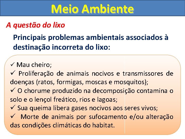 Meio Ambiente A questão do lixo Principais problemas ambientais associados à destinação incorreta do