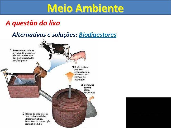 Meio Ambiente A questão do lixo Alternativas e soluções: Biodigestores 