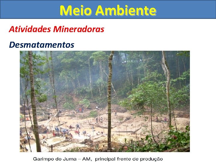 Meio Ambiente Atividades Mineradoras Desmatamentos 