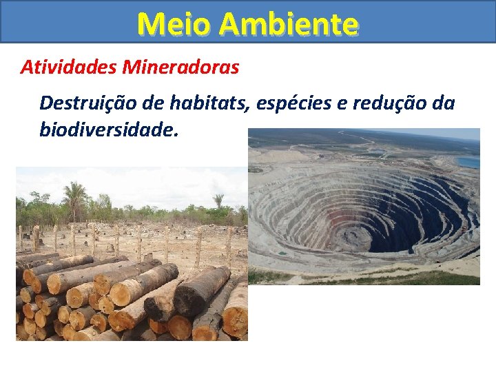 Meio Ambiente Atividades Mineradoras Destruição de habitats, espécies e redução da biodiversidade. 