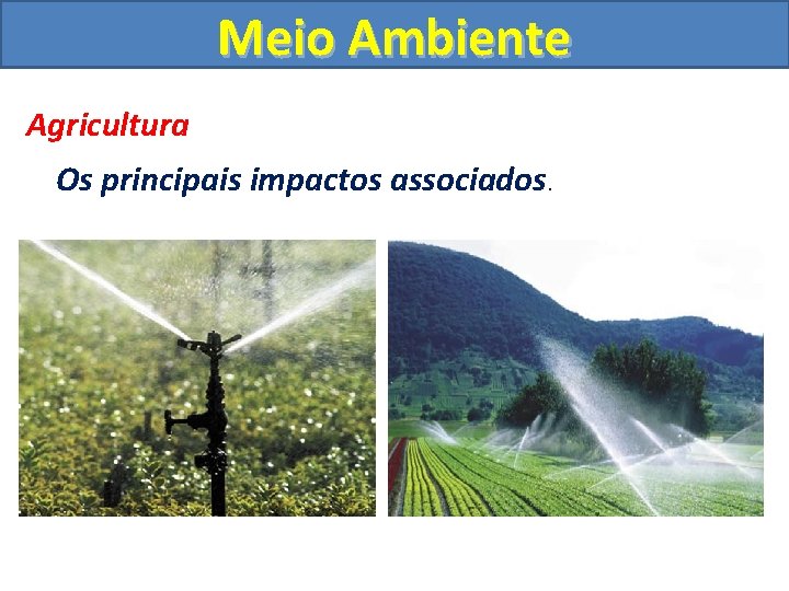 Meio Ambiente Agricultura Os principais impactos associados. 