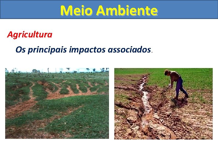 Meio Ambiente Agricultura Os principais impactos associados. 