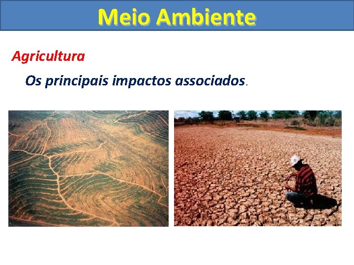 Meio Ambiente Agricultura Os principais impactos associados. 