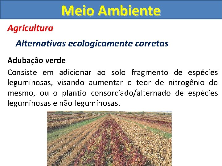 Meio Ambiente Agricultura Alternativas ecologicamente corretas Adubação verde Consiste em adicionar ao solo fragmento