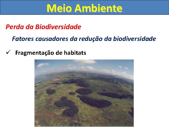 Meio Ambiente Perda da Biodiversidade Fatores causadores da redução da biodiversidade ü Fragmentação de