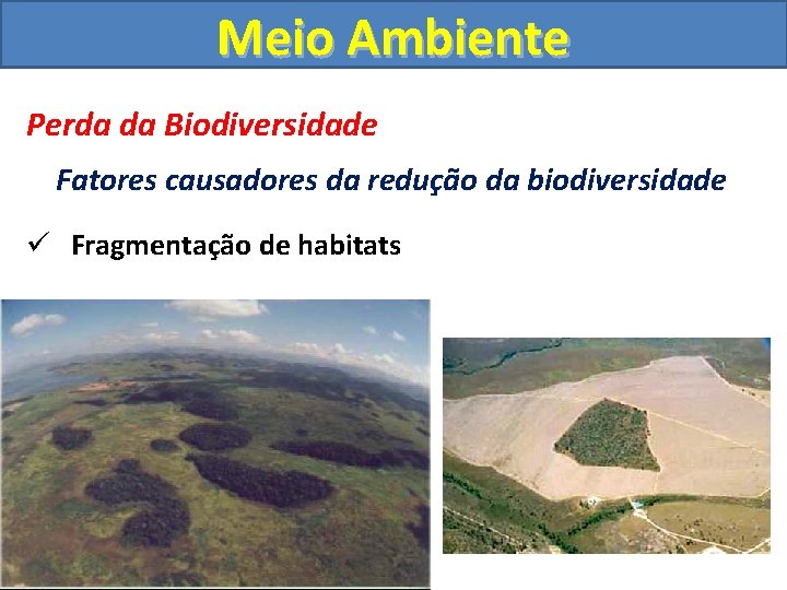 Meio Ambiente Perda da Biodiversidade Fatores causadores da redução da biodiversidade ü Fragmentação de