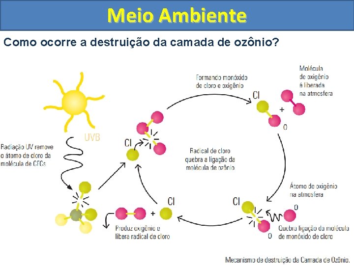 Meio Ambiente Como ocorre a destruição da camada de ozônio? 