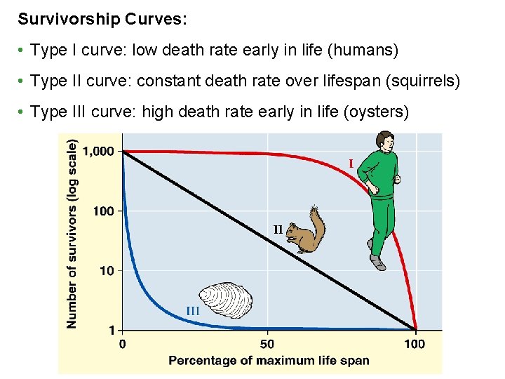Survivorship Curves: • Type I curve: low death rate early in life (humans) •