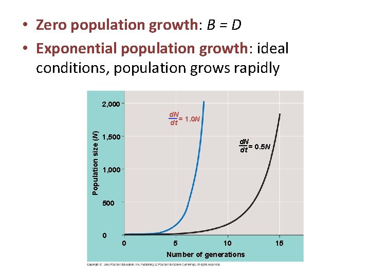  • Zero population growth: B = D • Exponential population growth: ideal conditions,