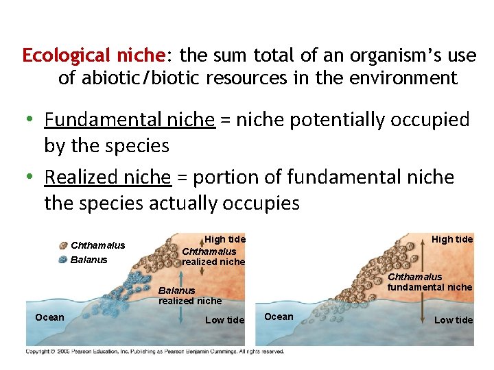 Ecological niche: the sum total of an organism’s use of abiotic/biotic resources in the