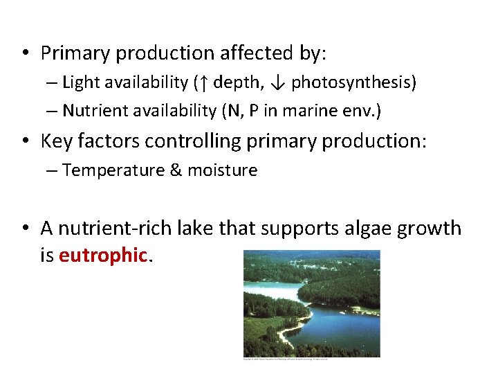  • Primary production affected by: – Light availability (↑ depth, ↓ photosynthesis) –