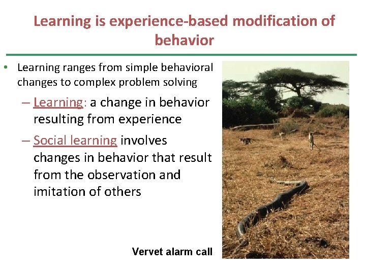 Learning is experience-based modification of behavior • Learning ranges from simple behavioral changes to