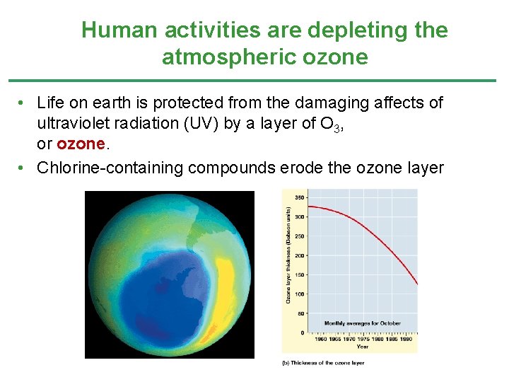 Human activities are depleting the atmospheric ozone • Life on earth is protected from