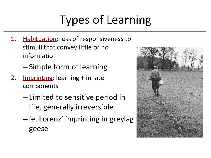 Types of Learning 1. Habituation: loss of responsiveness to stimuli that convey little or