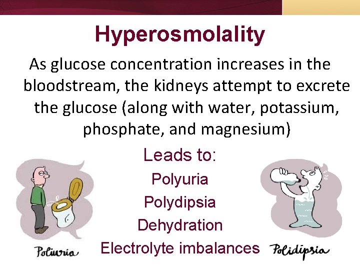 Hyperosmolality As glucose concentration increases in the bloodstream, the kidneys attempt to excrete the Hyperosmolality As glucose concentration increases in the bloodstream, the kidneys attempt to excrete the