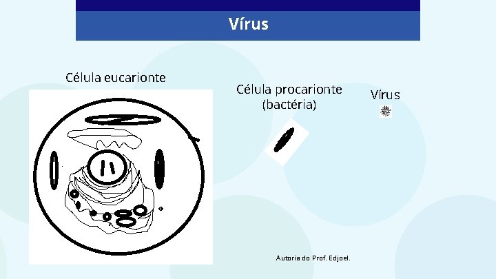 Vírus Célula eucarionte Célula procarionte (bactéria) Autoria do Prof. Edjoel. Vírus 