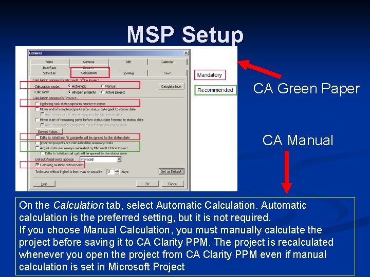 MSP Setup CA Green Paper CA Manual On the Calculation tab, select Automatic Calculation.