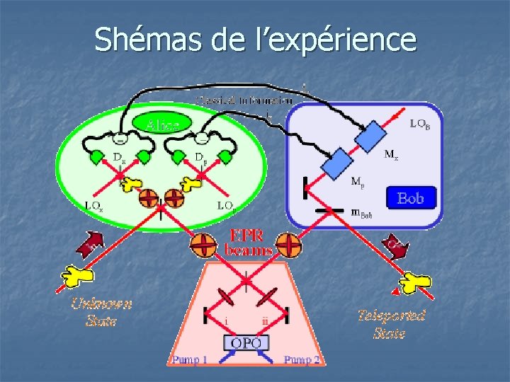 Shémas de l’expérience 