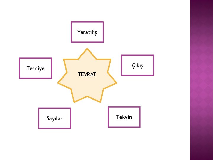 Yaratılış Çıkış Tesniye TEVRAT Sayılar Tekvin 