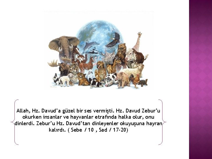 Allah, Hz. Davud’a güzel bir ses vermişti. Hz. Davud Zebur’u okurken insanlar ve hayvanlar