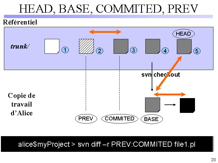 HEAD, BASE, COMMITED, PREV Référentiel HEAD trunk/ 1 2 3 4 5 svn checkout
