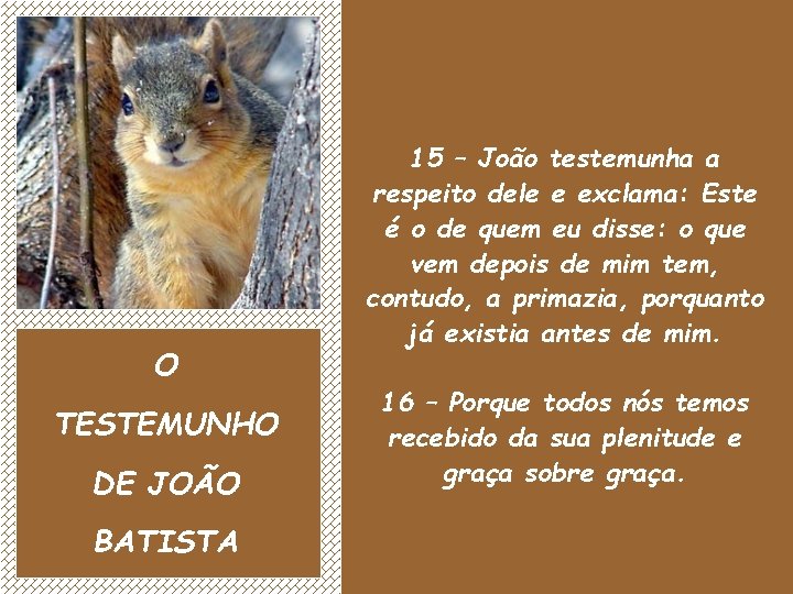 O TESTEMUNHO DE JOÃO BATISTA 15 – João testemunha a respeito dele e exclama:
