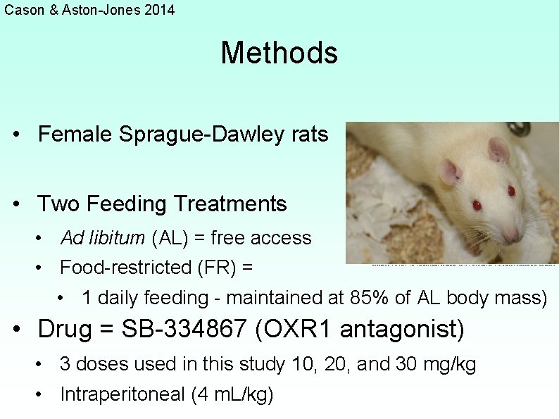 Orexin and bingelike consumption Sucrose Saccharin Ethanol ANDY