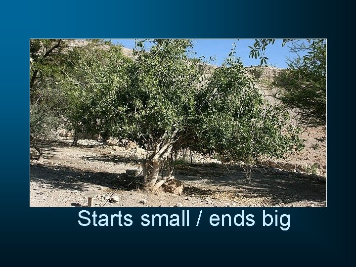 Starts small / ends big 