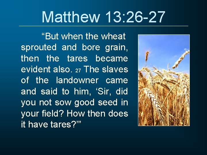 Matthew 13: 26 -27 “But when the wheat sprouted and bore grain, then the