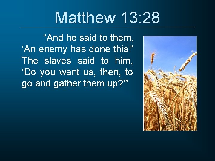 Matthew 13: 28 “And he said to them, ‘An enemy has done this!’ The