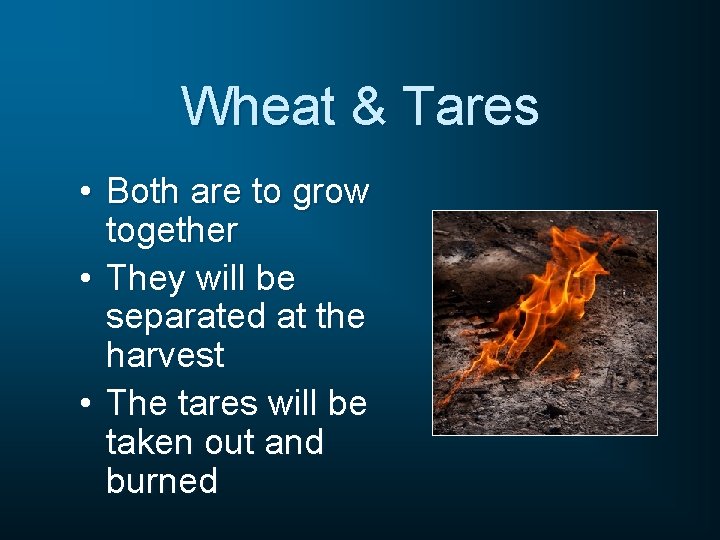 Wheat & Tares • Both are to grow together • They will be separated