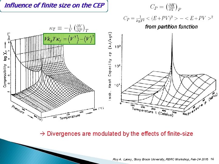 Influence of finite size on the CEP from partition function Divergences are modulated by