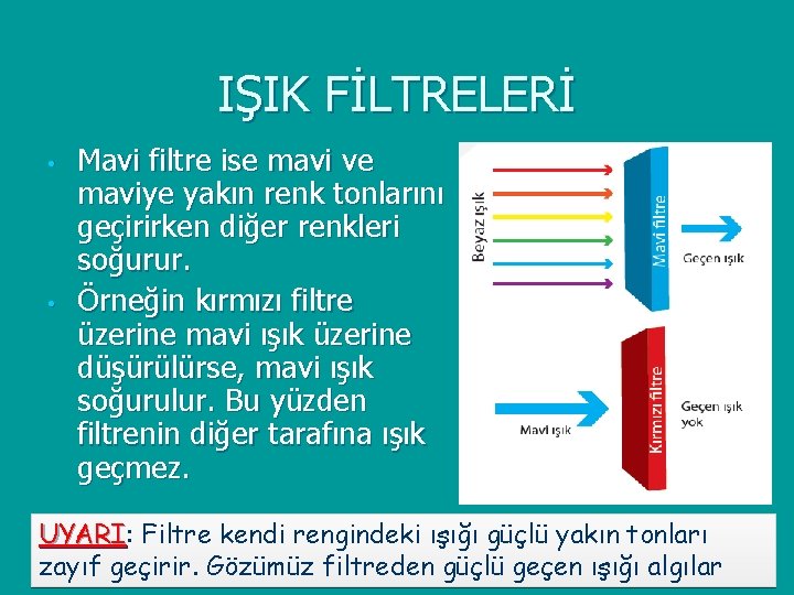 IŞIK FİLTRELERİ • • Mavi filtre ise mavi ve maviye yakın renk tonlarını geçirirken