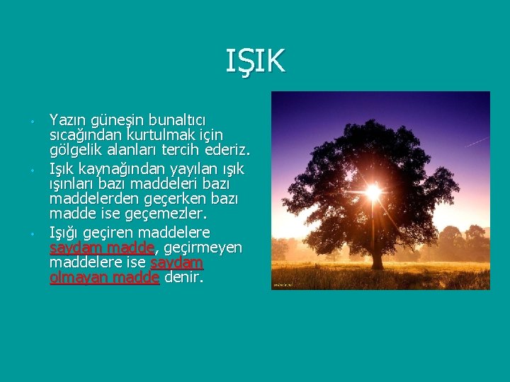 IŞIK • • • Yazın güneşin bunaltıcı sıcağından kurtulmak için gölgelik alanları tercih ederiz.